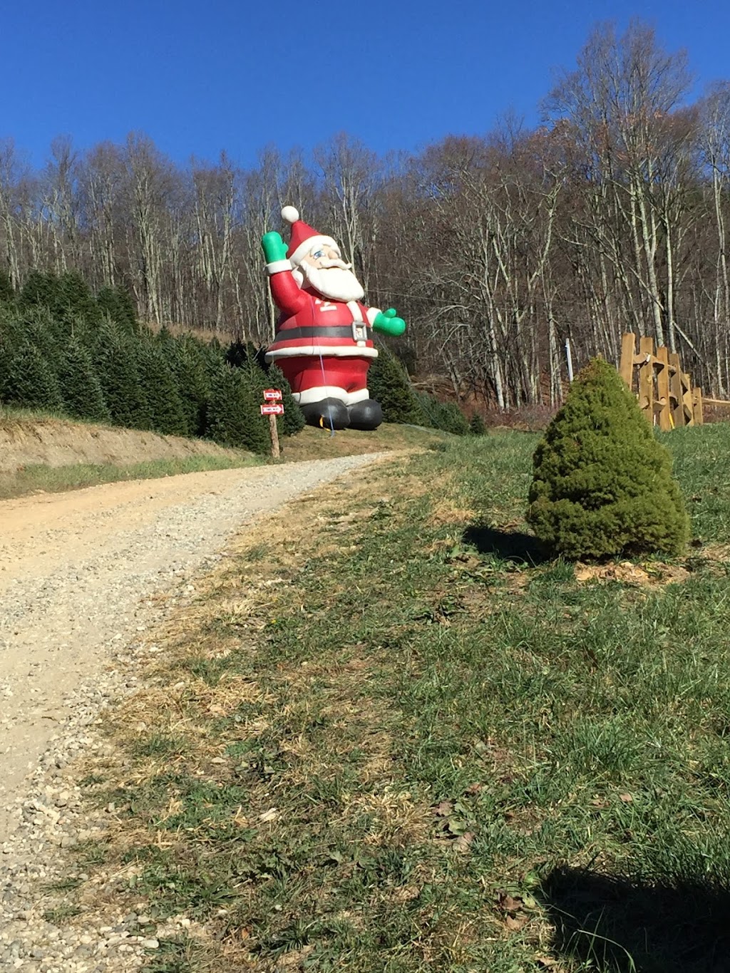 Clements Lawn Service & Christmas Tree Delivery | 304 Eastside Rd, Burns, TN 37029, USA | Phone: (615) 829-9188