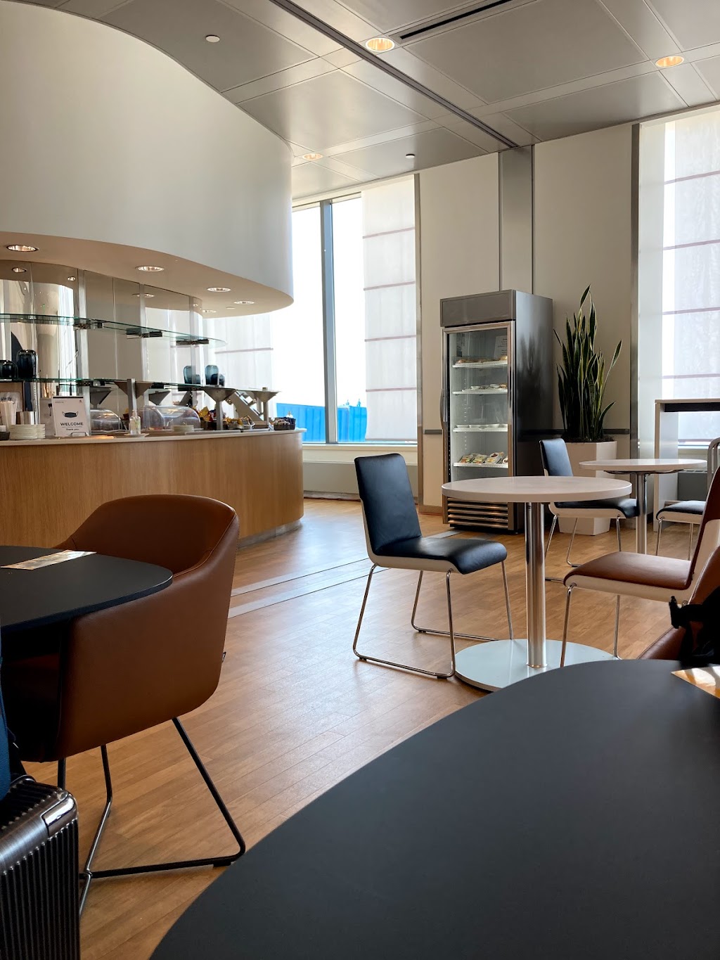 Lufthansa Senator / Business Lounge | North Terminal, Between Gates D6 and D8, W G Rogell Dr, Detroit, MI 48242, USA | Phone: (800) 645-3880