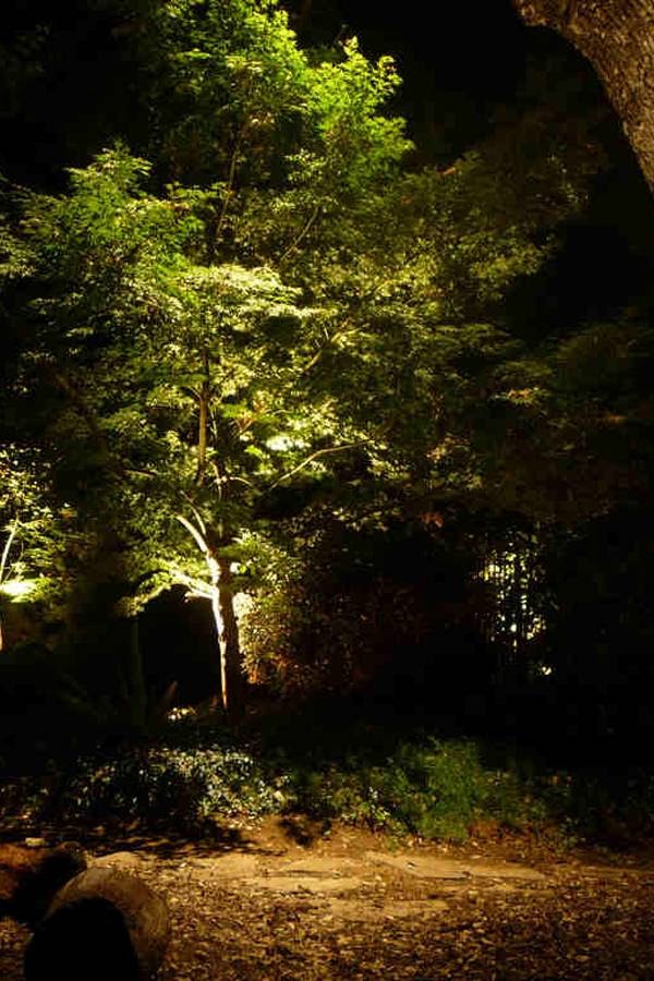 Elegant Outdoor Lighting Landscape Lighting | 4905 Hazel Ave, Fair Oaks, CA 95628, USA | Phone: (916) 527-2418