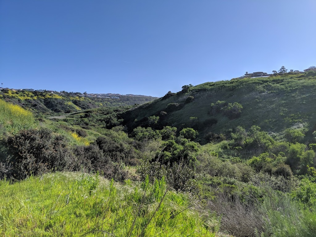 Buck Gully Reserve | San Joaquin Hills Rd, Newport Beach, CA 92657, USA | Phone: (949) 644-3151