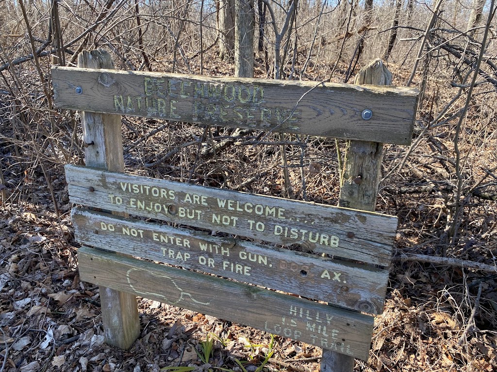 Beechwood Nature Preserve - ACRES Land Trust | 29 Ln 150 Little Otter Lake, Fremont, IN 46737, USA | Phone: (260) 637-2273