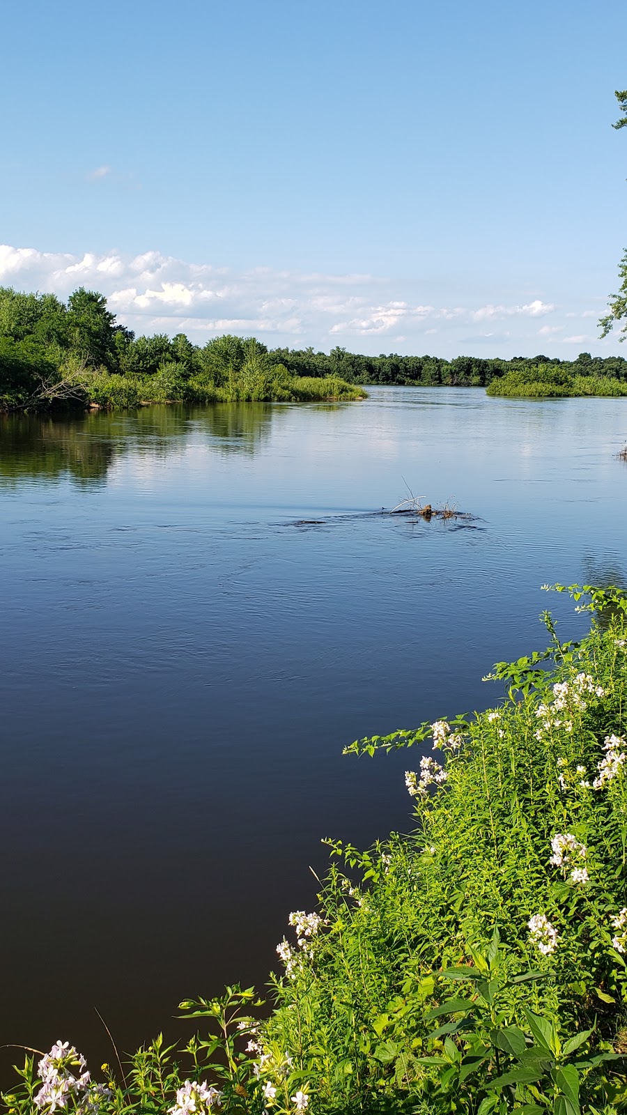 Wisconsin River Retreat | 10216 County Hwy Y, Mazomanie, WI 53560, USA | Phone: (608) 285-2207