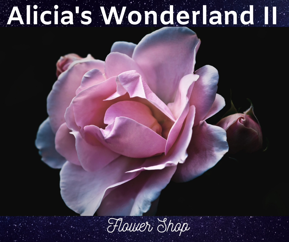 Alicias Wonderland II | 12000 156th Ave SE, Renton, WA 98059, USA | Phone: (253) 350-1342