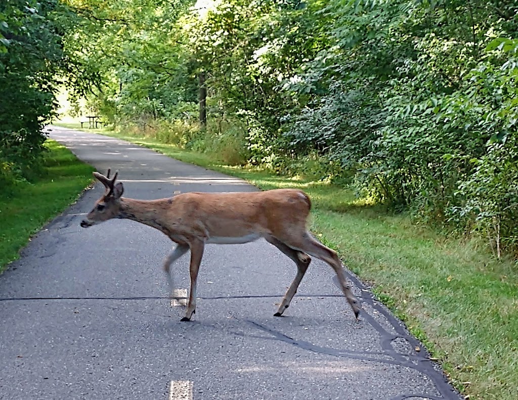 Lake Erie Metropark | 32481 W Jefferson Ave, Brownstown Charter Twp, MI 48173, USA | Phone: (734) 379-5020