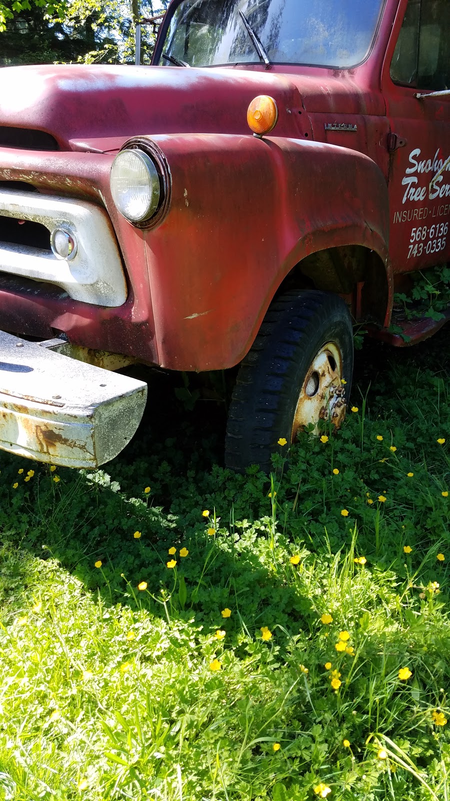 Taylors Snohomish Tree Service | 7717 184th Dr SE, Snohomish, WA 98290, USA | Phone: (425) 903-0559