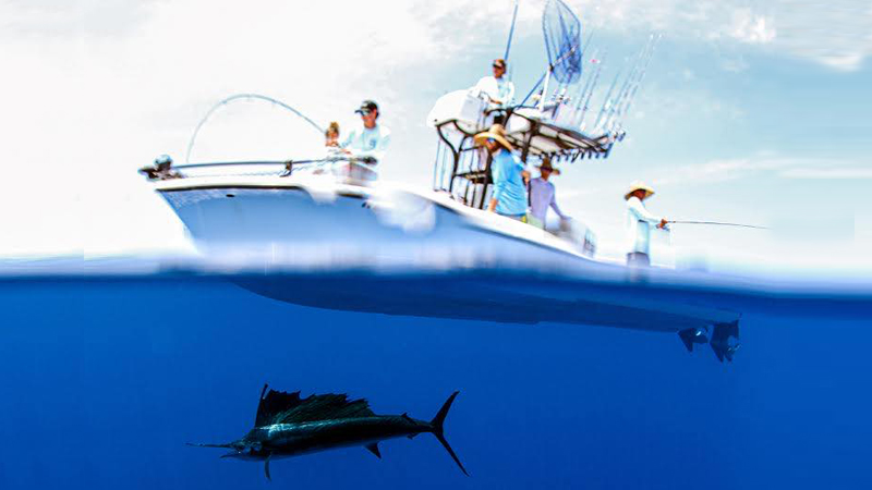 Captain Jason Stock Fishing Charters | 2504 88th St Ct NW, Bradenton, FL 34209, USA | Phone: (727) 459-5899