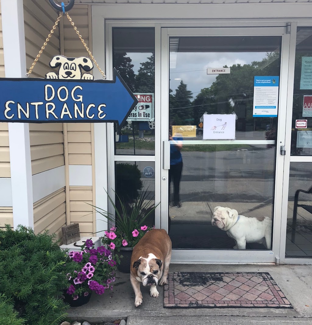 Latham Animal Hospital | 326 Troy-Schenectady Rd, Latham, NY 12110, USA | Phone: (518) 785-1481