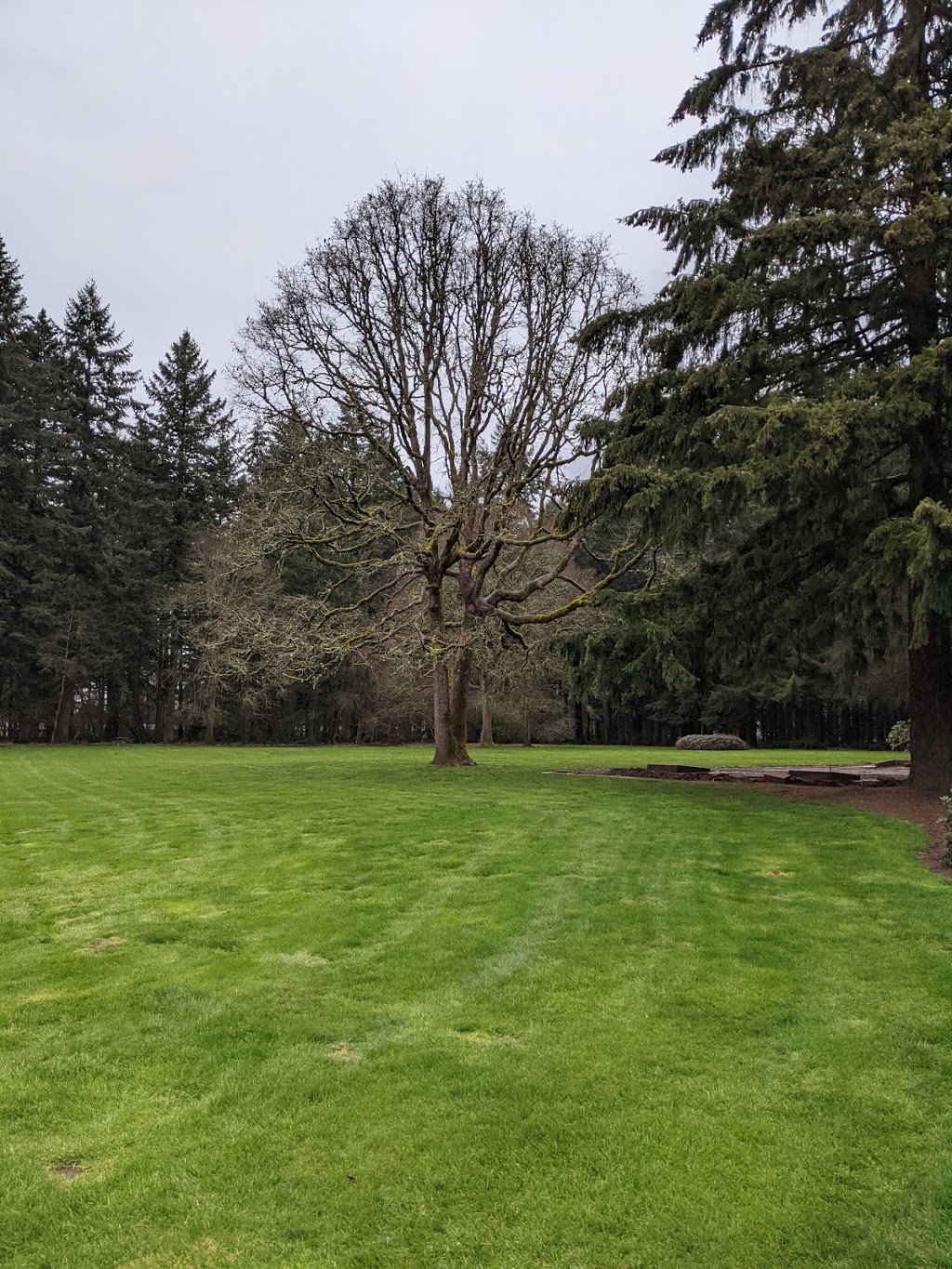 ORCHARDS COMMUNITY PARK | 9800 NE 54th St, Vancouver, WA 98662, USA | Phone: (360) 397-2000