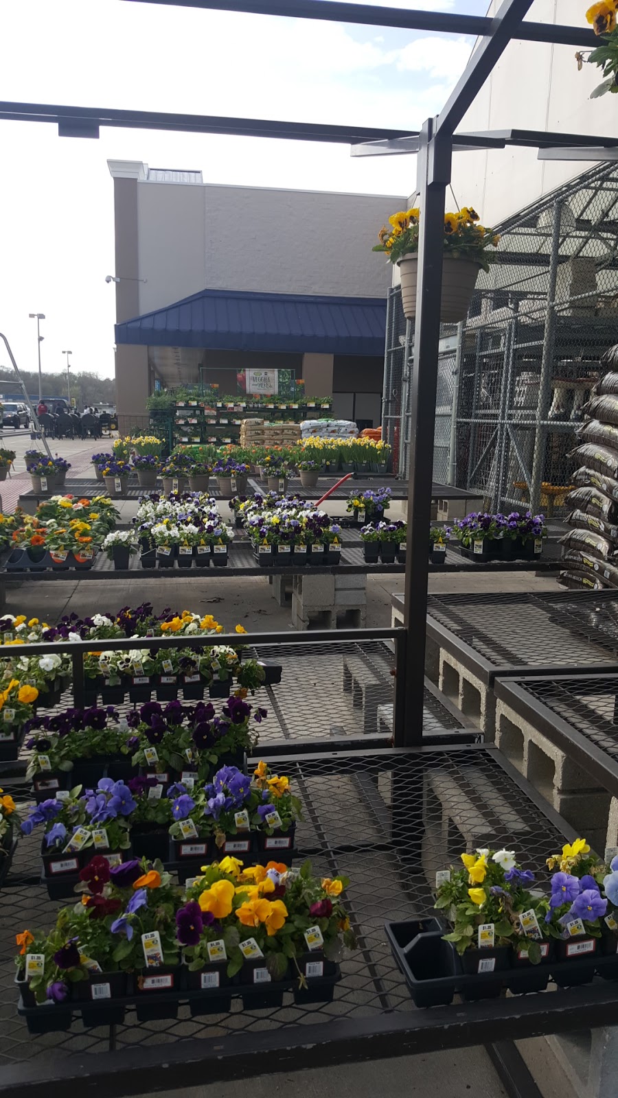Lowes Garden Center | 12484 Airline Hwy, Gonzales, LA 70737, USA | Phone: (225) 644-0900