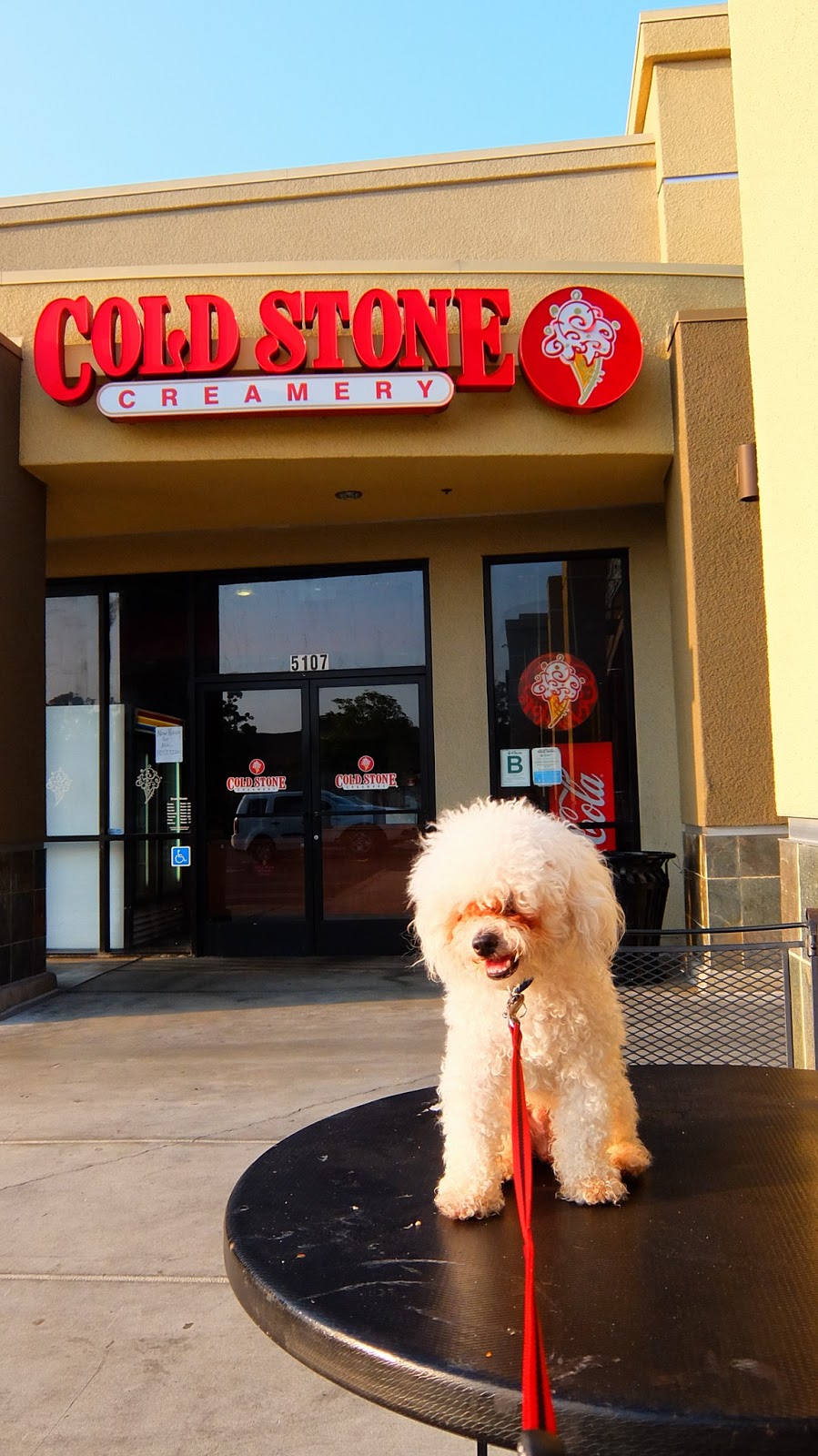 Cold Stone Creamery | 5107 Candlewood St, Lakewood, CA 90712, USA | Phone: (562) 925-1500