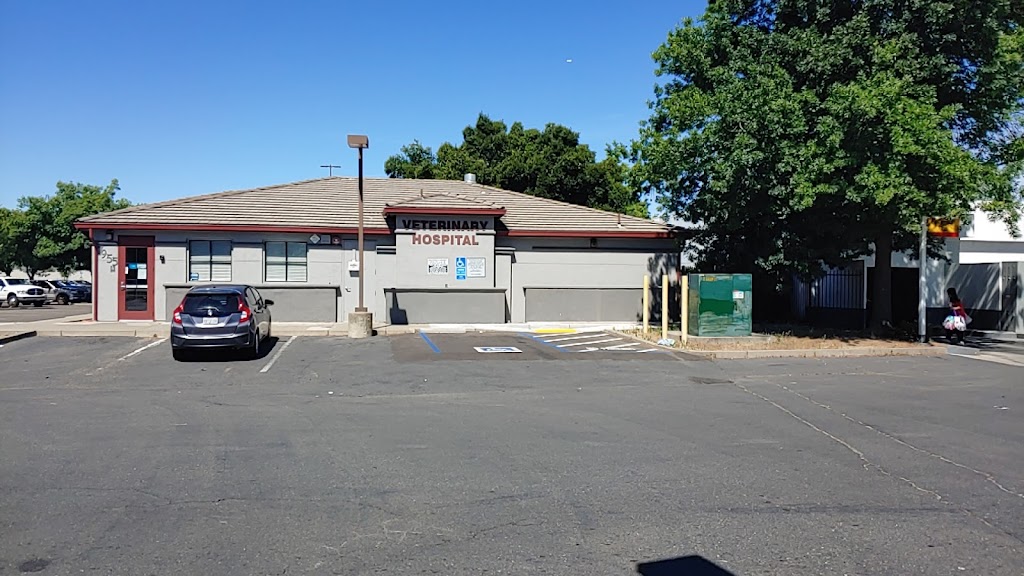 Cherry Creek Veterinary Hospital | 7955 Watt Ave, Antelope, CA 95843, USA | Phone: (916) 349-2755