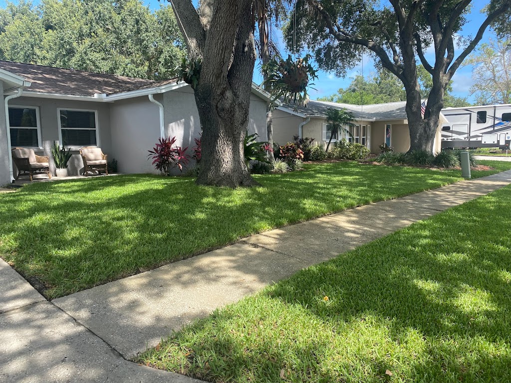 Executive Turf Management Inc | 6553 46th St N #900, Pinellas Park, FL 33781, USA | Phone: (727) 528-4646