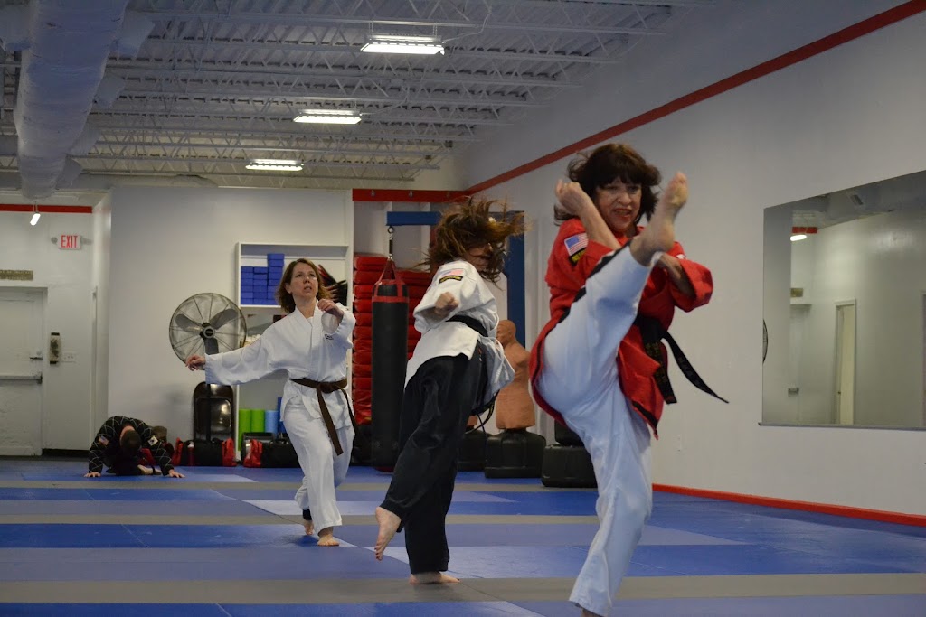 Kims Hapkido Martial Arts | 4848 Virginia Beach Blvd Suite 12, Virginia Beach, VA 23462, USA | Phone: (757) 497-8880