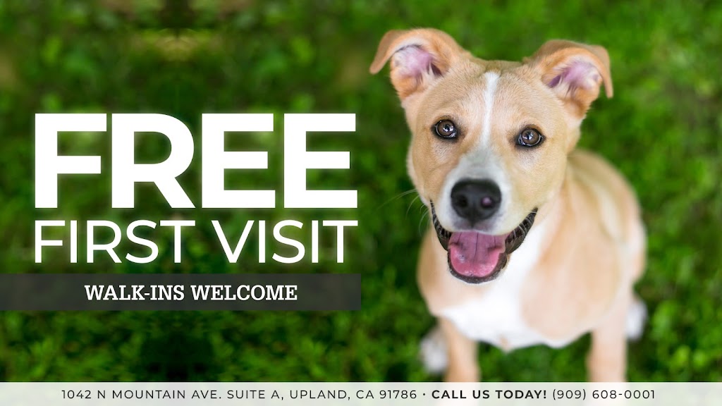 We Talk Pets! Animal Hospital | 1042 N Mountain Ave A, Upland, CA 91786 | Phone: (909) 608-0001