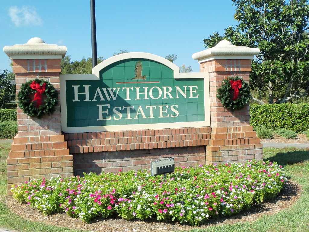 Enos Executive Painting | 9208 Dayflower Dr, Tampa, FL 33647, USA | Phone: (813) 907-5444