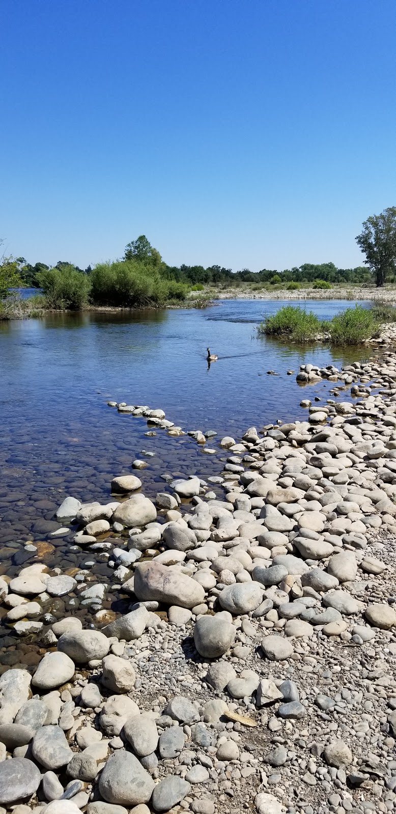 Effie Yeaw Nature Center | 2850 San Lorenzo Way, Carmichael, CA 95608, USA | Phone: (916) 489-4918