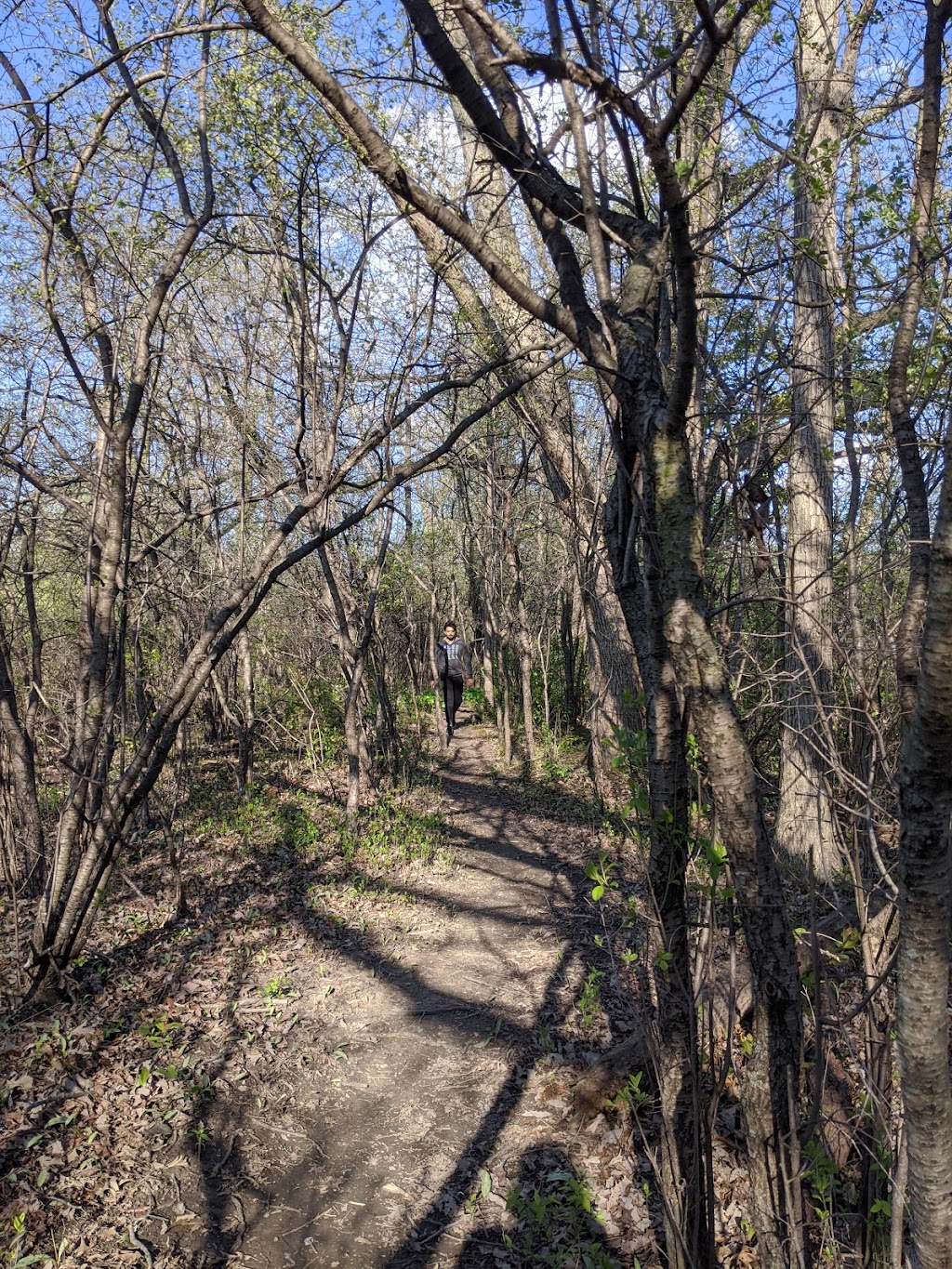 Lower River Rouge Recreation Trail | S Canton Center Rd, Canton, MI 48188, USA | Phone: (734) 394-5100