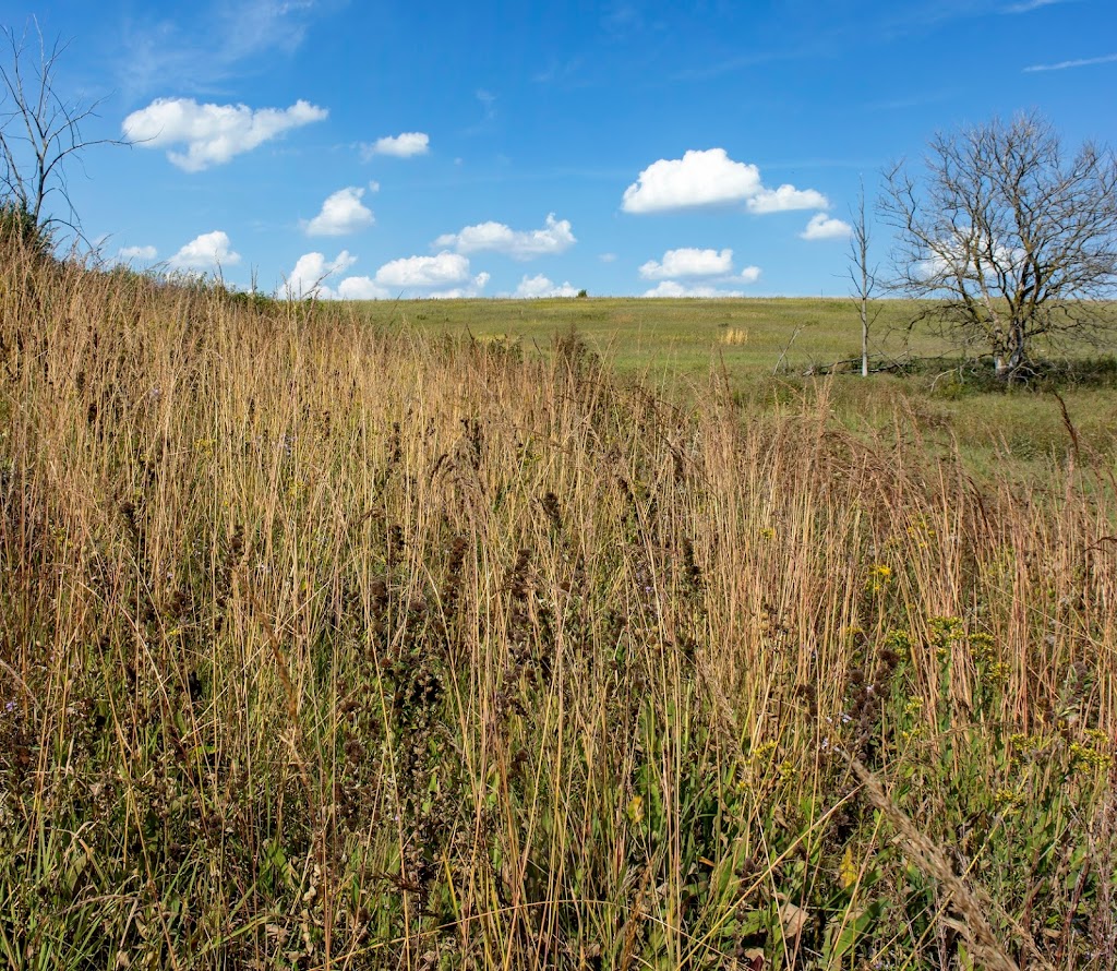 York Prairie State Natural Area | Blanchardville, WI 53516, USA | Phone: (888) 936-7463