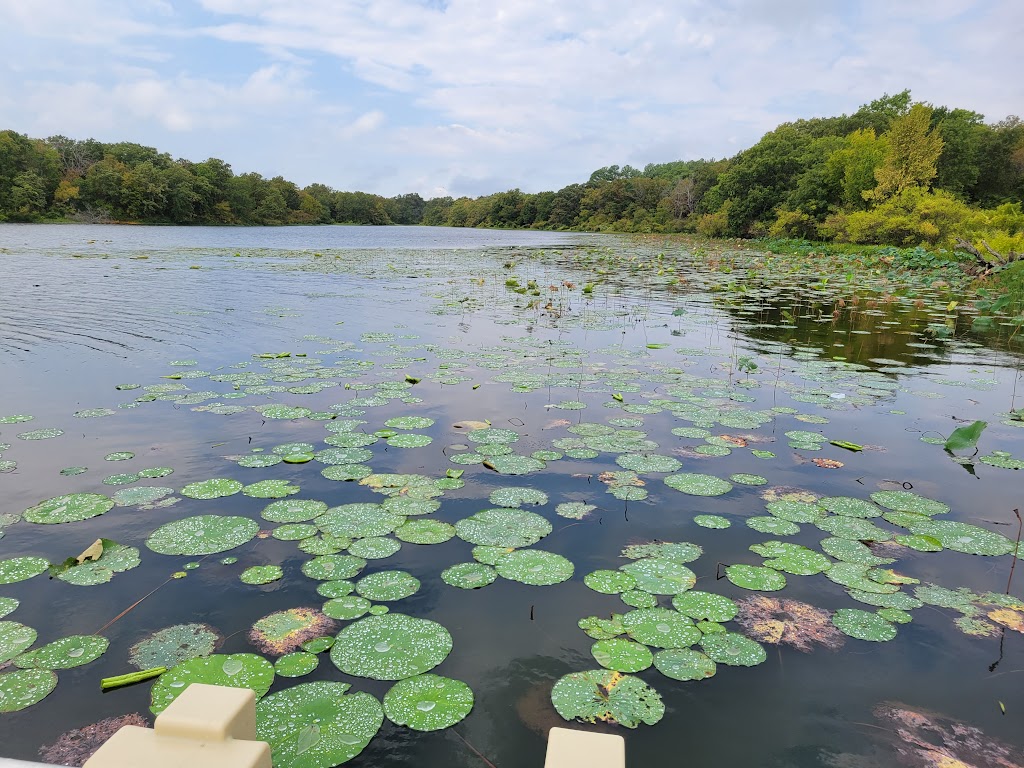 Coffee Mill Lake Recreation Area | Honey Grove, TX 75446, USA | Phone: (940) 627-5475