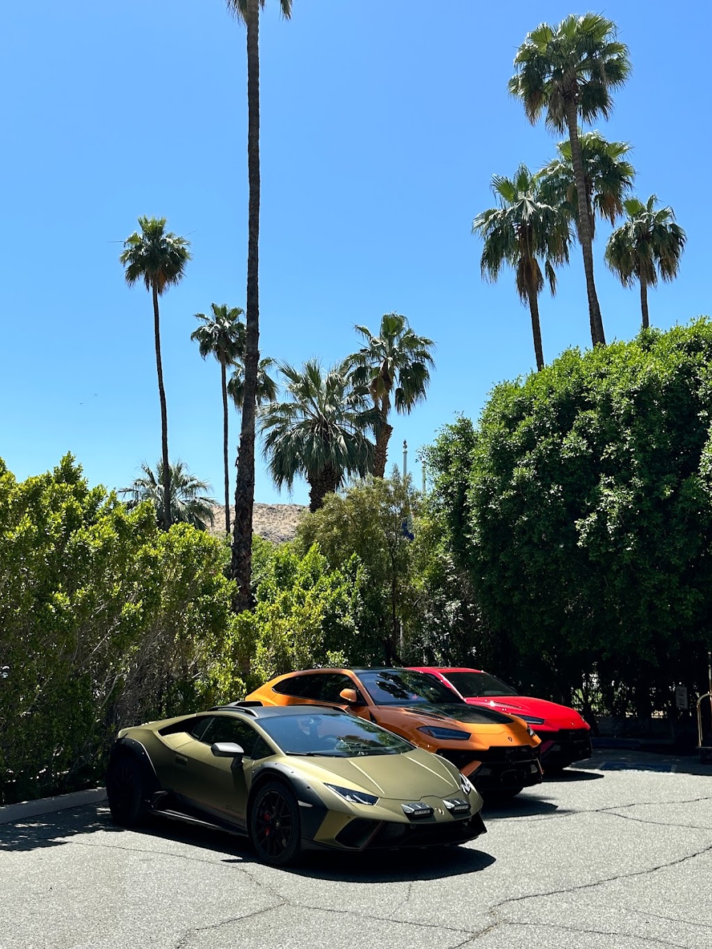 Explore Daily Exotics | 3434 Via Lido, Newport Beach, CA 92663, USA | Phone: (949) 407-9037