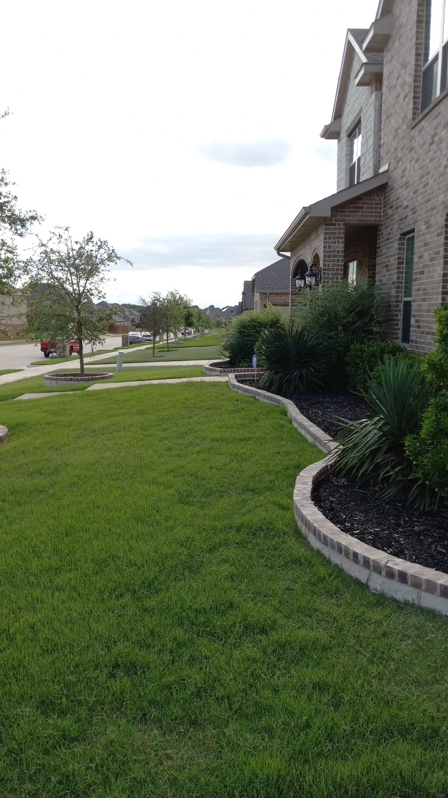 Vista Turf | 619 N 7th St, Midlothian, TX 76065, USA | Phone: (817) 307-0583