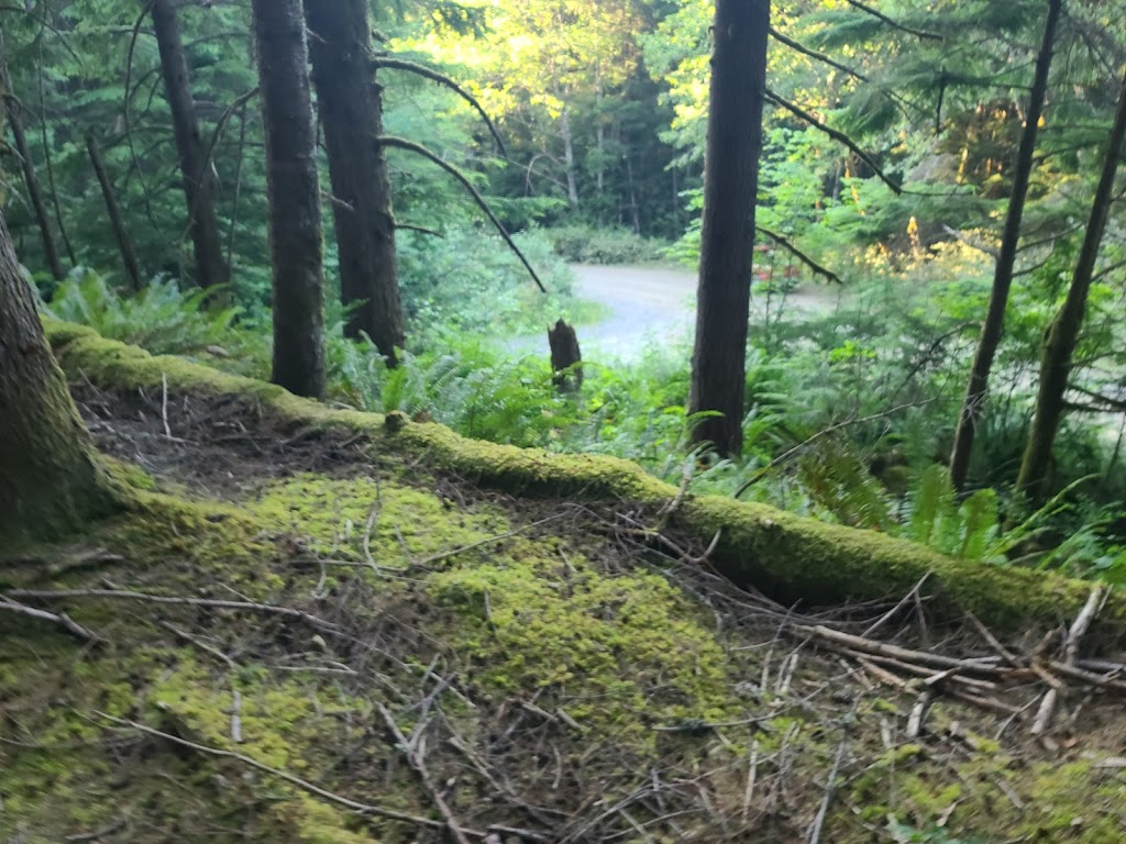 Mt. Baker-Snoqualmie National Forest Ranger Station | 450 Roosevelt Ave, Enumclaw, WA 98022, USA | Phone: (360) 825-6585