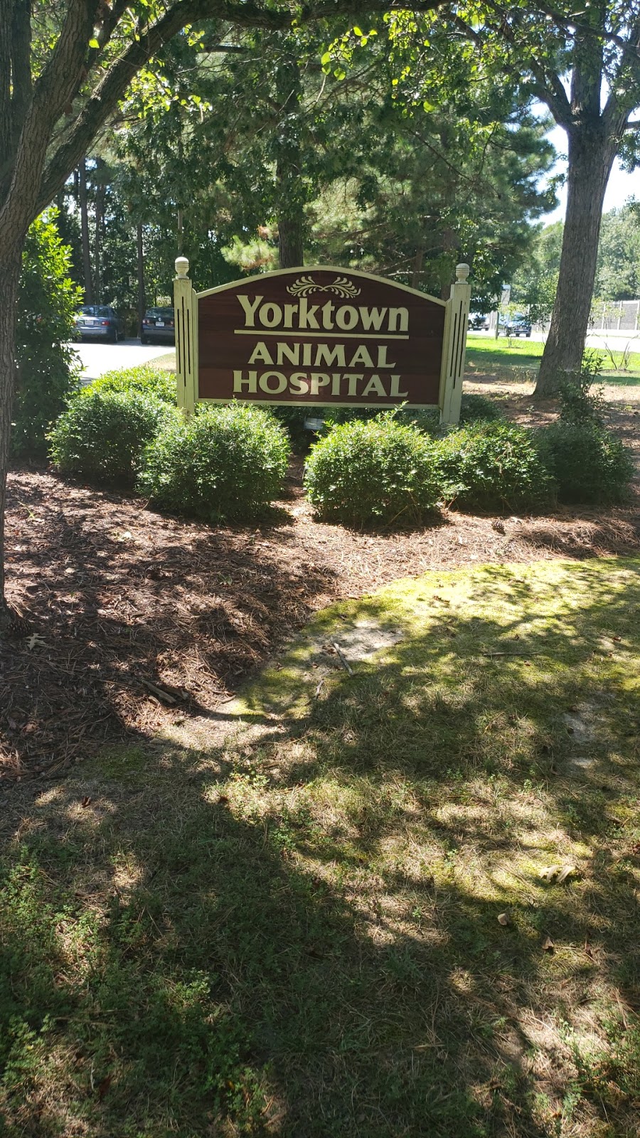 Yorktown Animal Hospital | 2400 Fort Eustis Blvd, Yorktown, VA 23692, USA | Phone: (757) 898-3932