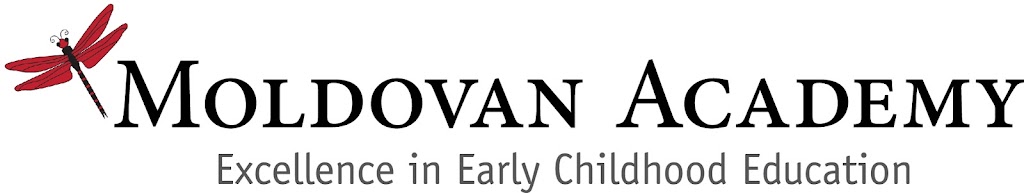 Moldovan Academy - Sunday