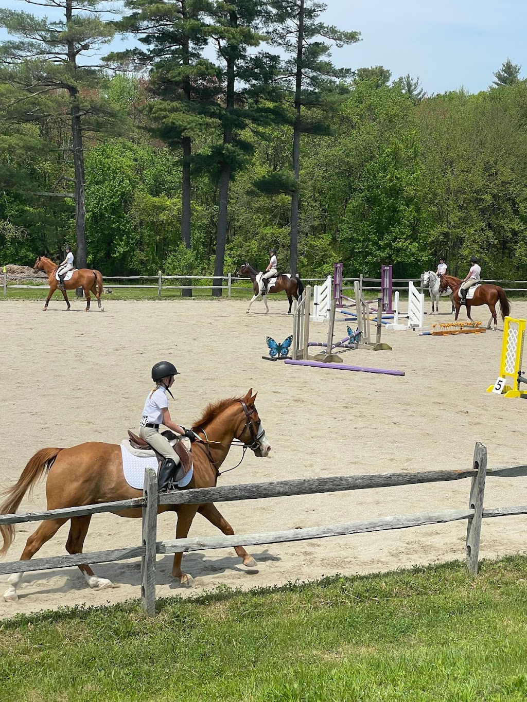 Wildflower Stables | 166 Hemmingway Pl, Norfolk, MA 02056, USA | Phone: (774) 478-0462