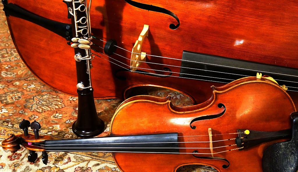 Cello and Singing Lessons | 6439 Grant Ave, Carmichael, CA 95608, USA | Phone: (916) 285-5101