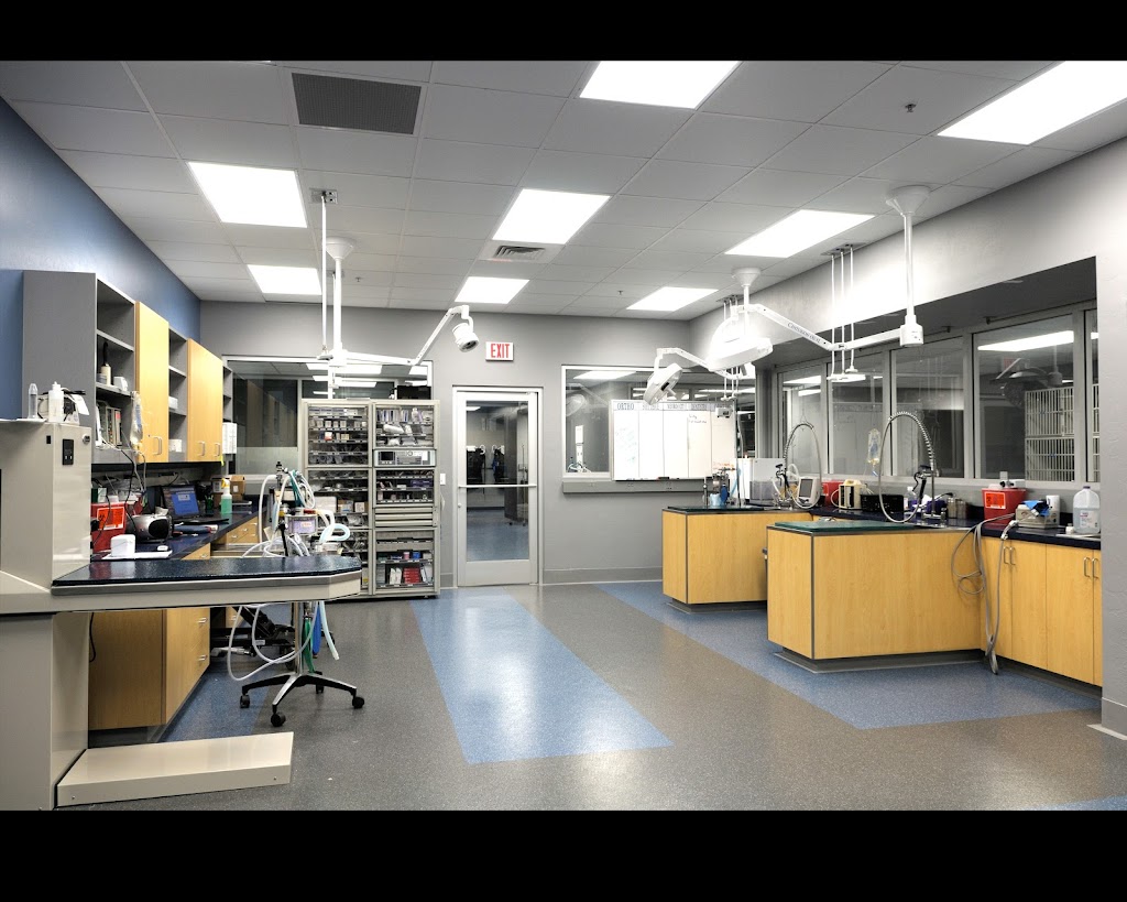 Veterinary Specialty Center Tucson | 4909 N La Cañada Dr, Tucson, AZ 85704, USA | Phone: (520) 795-9955