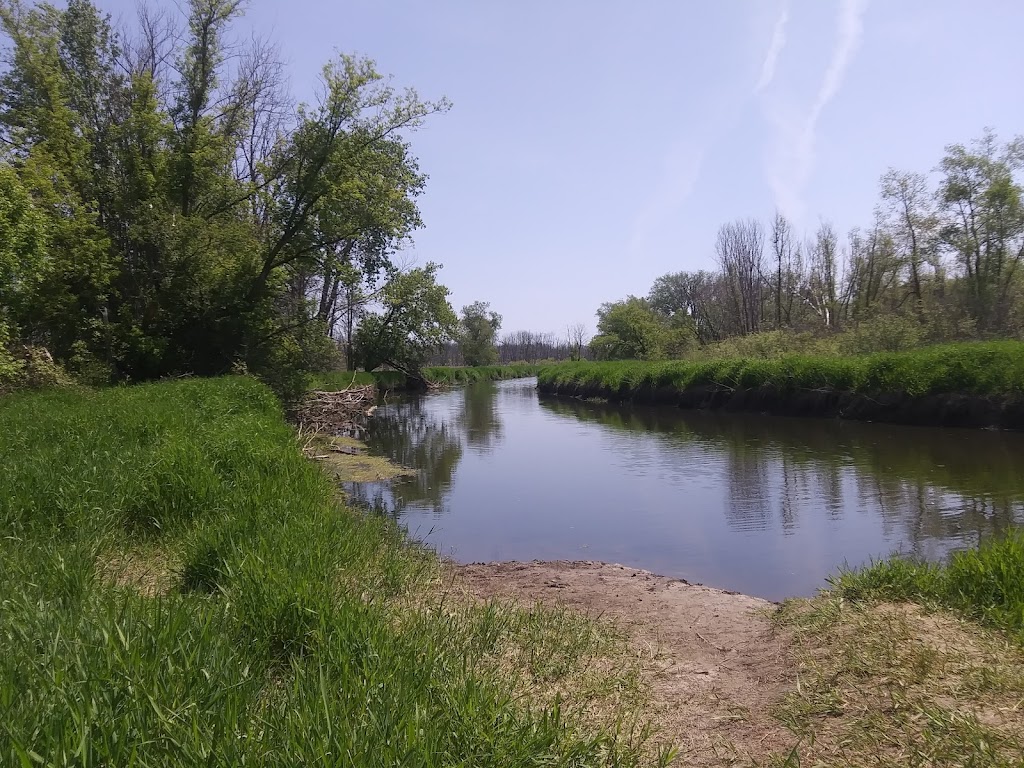 Jackson Marsh State Natural Area | West Bend, WI 53095, USA | Phone: (888) 936-7463