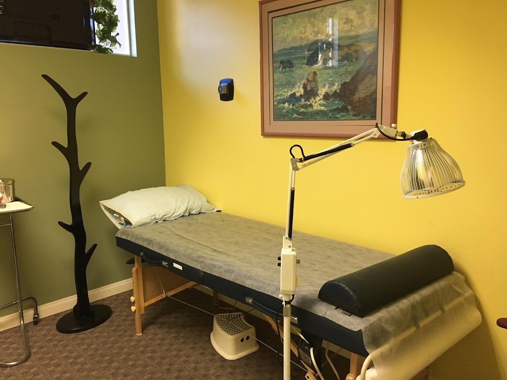 Acupuncture for USA | 2700 N Bellflower Blvd #201, Long Beach, CA 90815, USA | Phone: (562) 888-3399