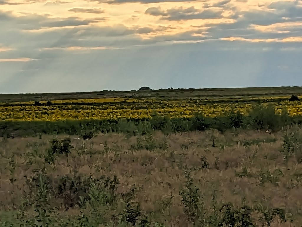 Cheney Wildlife Area | 21514 South Yoder Road, Pretty Prairie, KS 67570, USA | Phone: (620) 672-5911