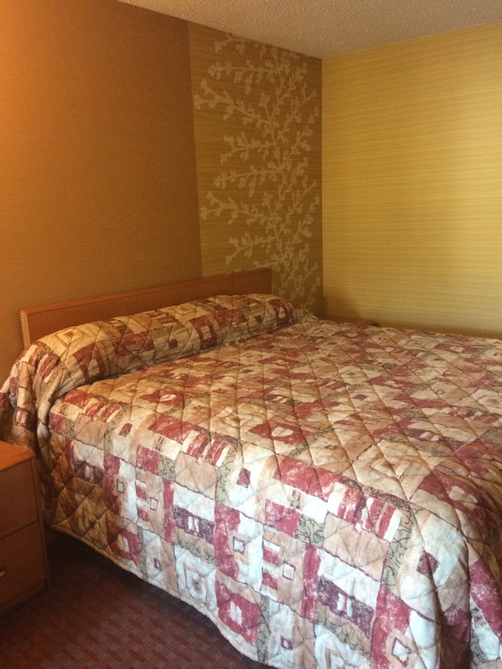 Royal Inn Motel | 9801 Hull Street Rd, Richmond, VA 23236, USA | Phone: (804) 276-4581