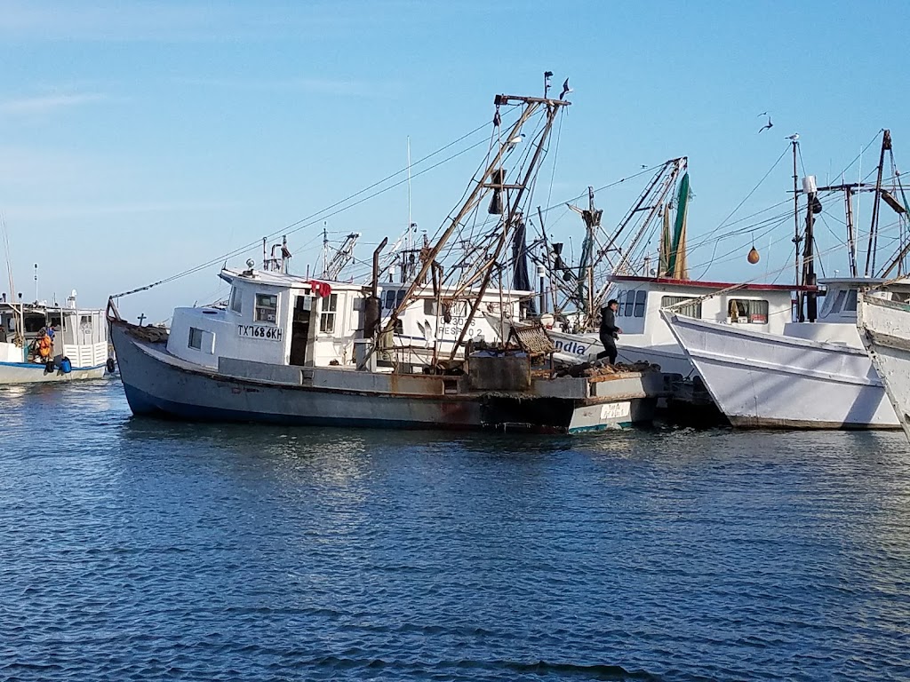 Charlotte Plummer | 202 N Fulton Beach Rd, Rockport, TX 78382, USA | Phone: (361) 729-1185