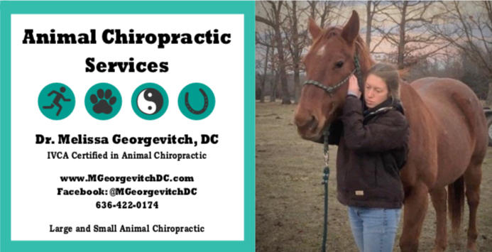 Georgevitch Chiropractic | 724 W Osage St, Pacific, MO 63069, USA | Phone: (636) 422-0174