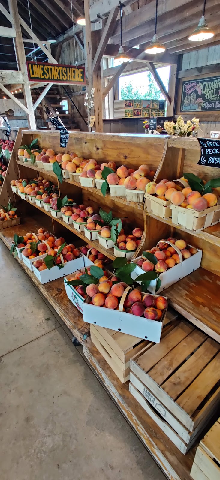 Quarry Hill Orchards | 8403 Mason Rd #1, Berlin Heights, OH 44814, USA | Phone: (419) 588-2858