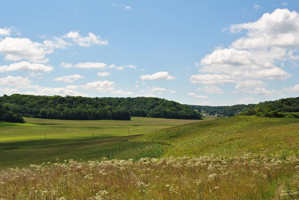 Black Earth Rettenmund Prairie State Natural Area | Fesenfeld Rd, Black Earth, WI 53515, USA | Phone: (608) 266-2621