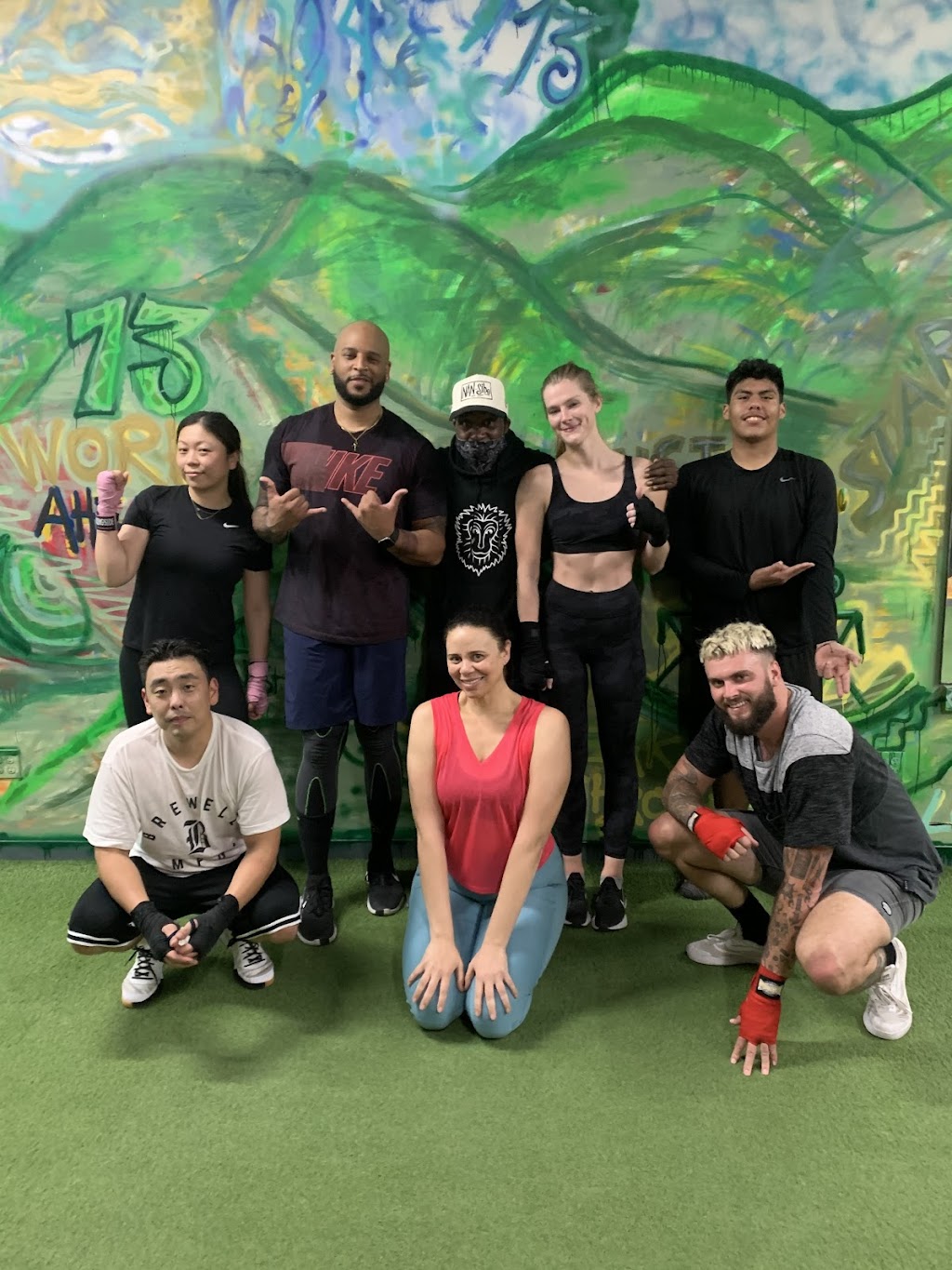 STLA Gym | 4365 W Pico Blvd, Los Angeles, CA 90019, USA | Phone: (323) 424-3436