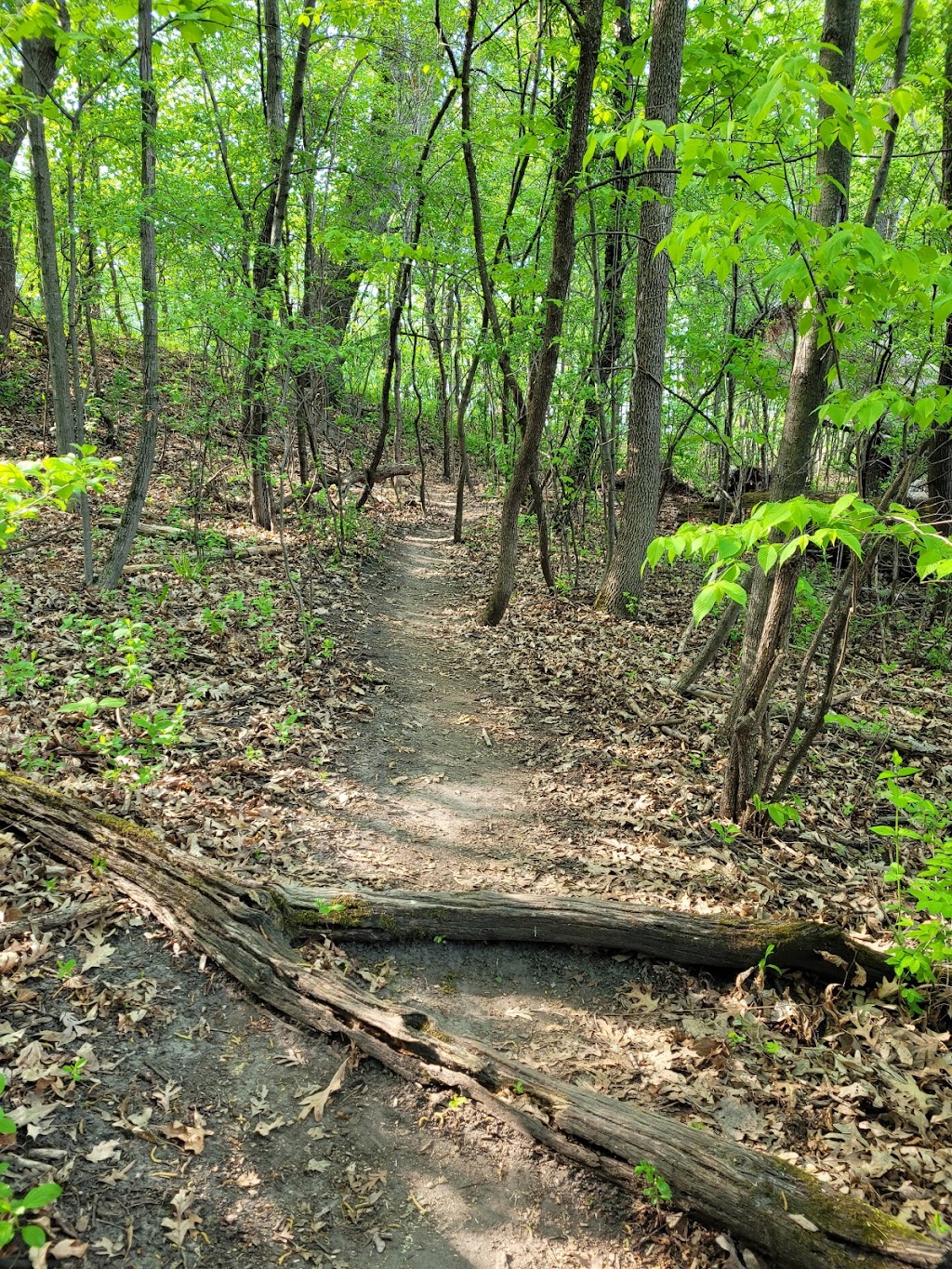 Bush Lake Park - Picnic Shelter #3 | 9098 E Bush Lake Rd, Bloomington, MN 55438, USA | Phone: (952) 563-8877