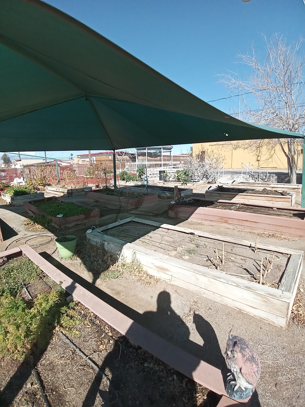 City of Las Vegas Community Garden | 1200 Blankenship Ave, Las Vegas, NV 89106, USA | Phone: (702) 229-6374