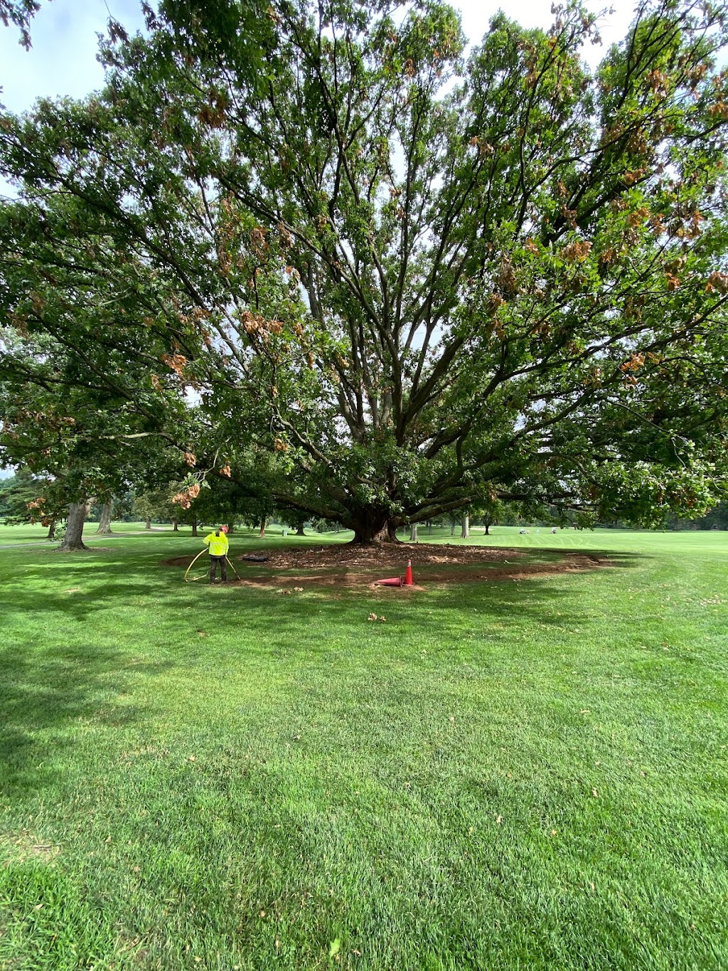 Gregory Forrest Lester Inc | 7798 Reading Rd Suite E, Cincinnati, OH 45237, USA | Phone: (513) 351-6100