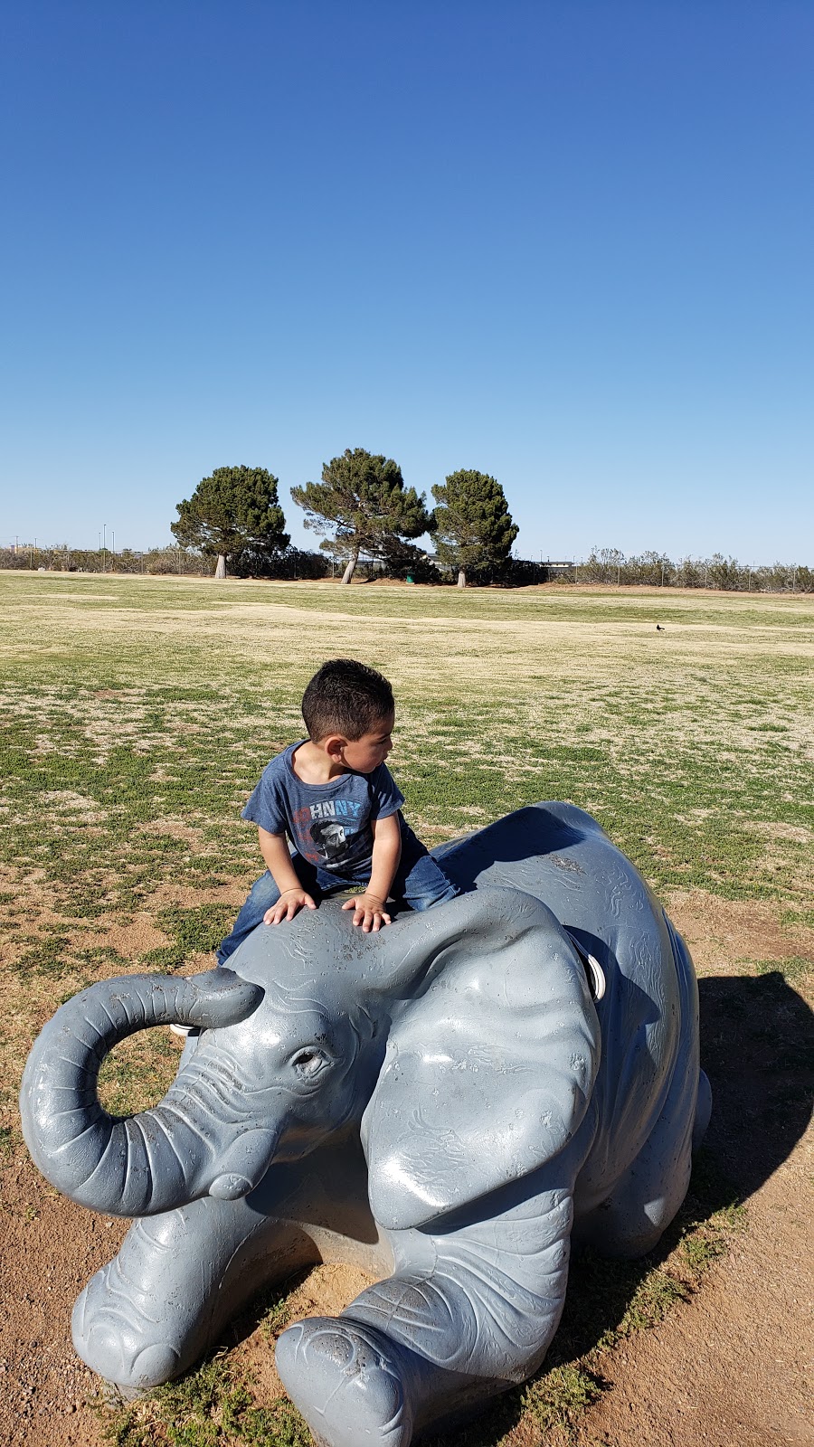 Sue Young Park | 9730 Diana Dr, El Paso, TX 79924, USA | Phone: (915) 212-0092
