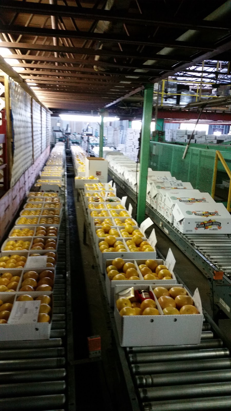 Mixon Fruit Farms | 2525 27th St E, Bradenton, FL 34208, USA | Phone: (941) 748-5829