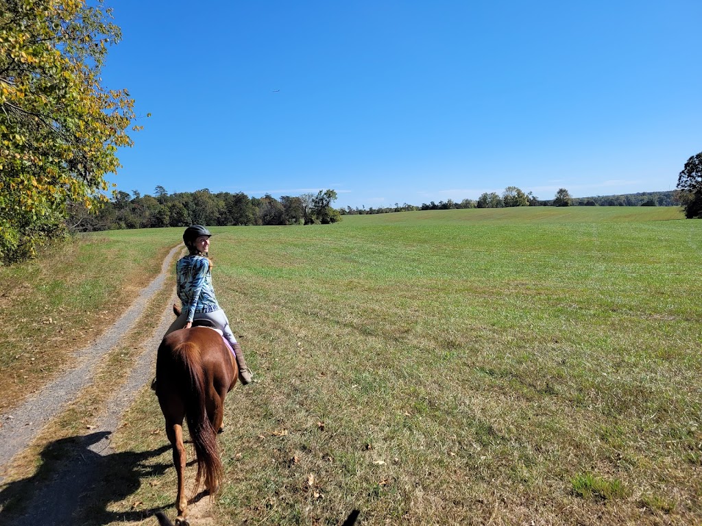 Nicole’s Riding Lessons | Historic District, 10955 Poplar Ford Trail, Manassas, VA 20109, USA | Phone: (703) 618-2485