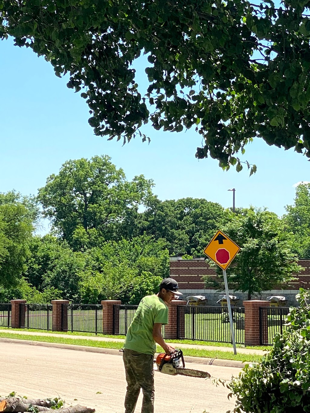 Rivera’s tree service | 102 Ridgeway Cir, Lewisville, TX 75067, USA | Phone: (214) 682-8534