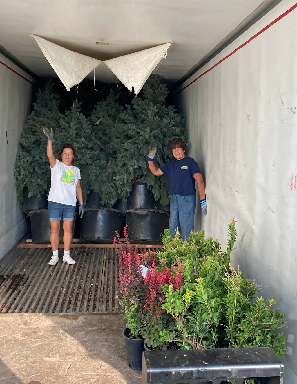 Ben’s Nursery & Landscape Supply | 4756 Hwy Y, Valles Mines, MO 63087, USA | Phone: (573) 315-7047