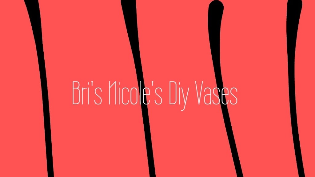 Bris Nicoles Diy Vases | 20650 S Cicero Ave #1707, Matteson, IL 60443, USA | Phone: (708) 735-5914