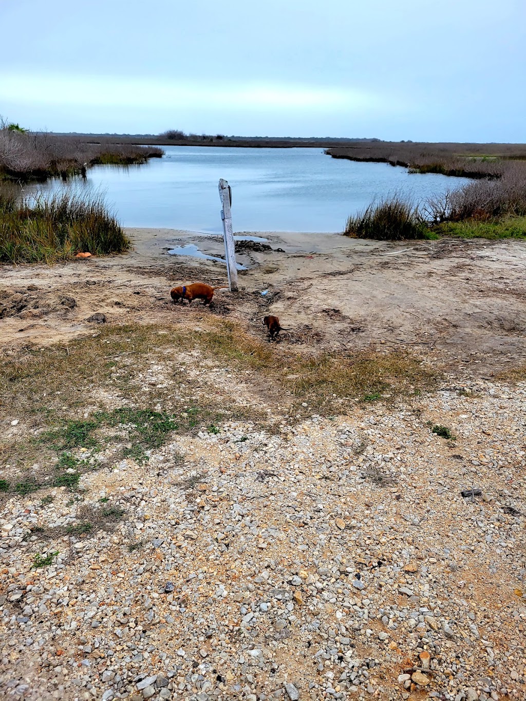 Aransas Pass Aquatic Center | 400 E Johnson Ave, Aransas Pass, TX 78336, USA | Phone: (361) 758-7770